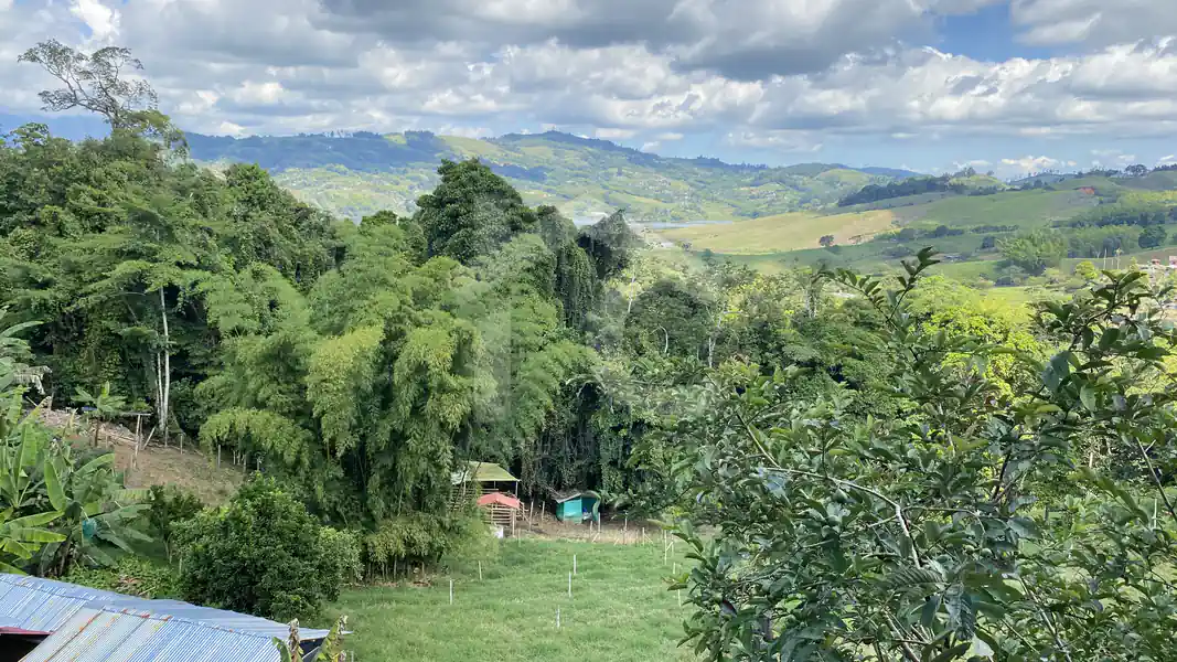 Vereda La Virginia Puente Tierra Yotoco